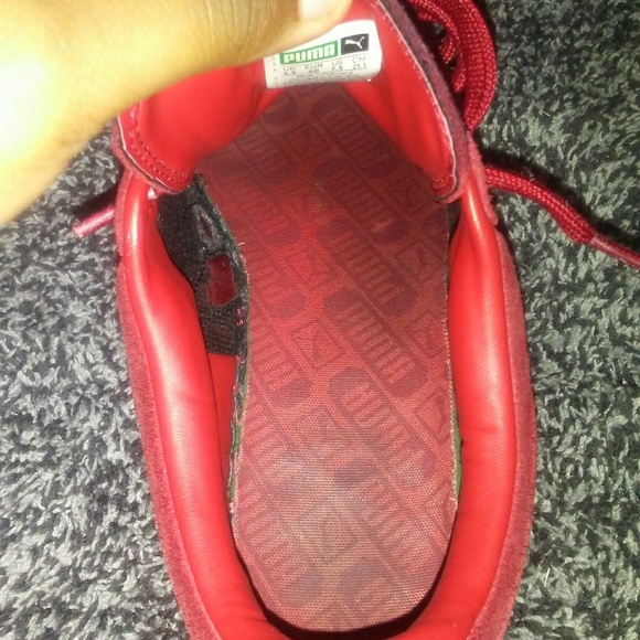 Pumas - Picture 6 of 6